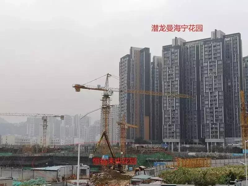 后红山时代,深圳龙华红山和上塘