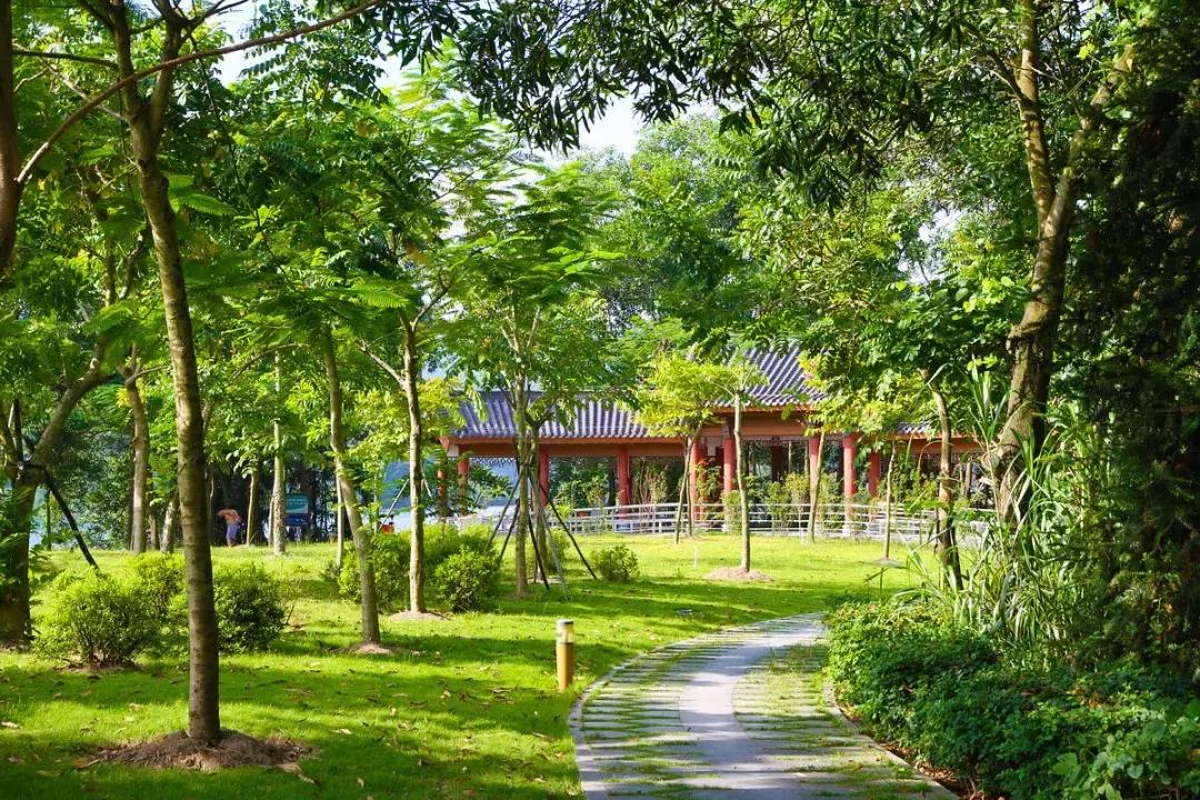 徐州东区未来的地标,徐州东区最新地标