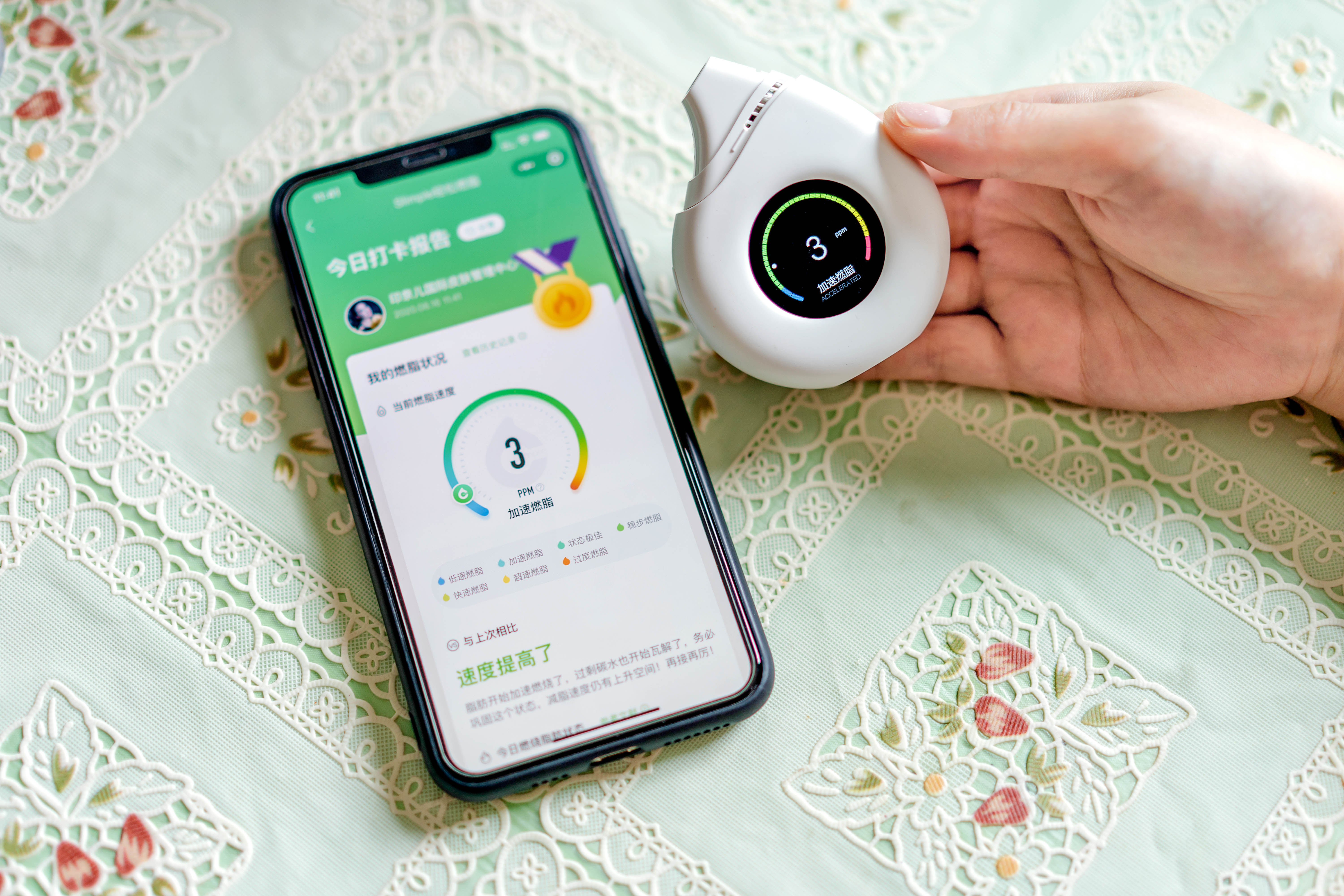 减肥怎么才能加快燃烧脂肪,sus燃脂减肥怎么样