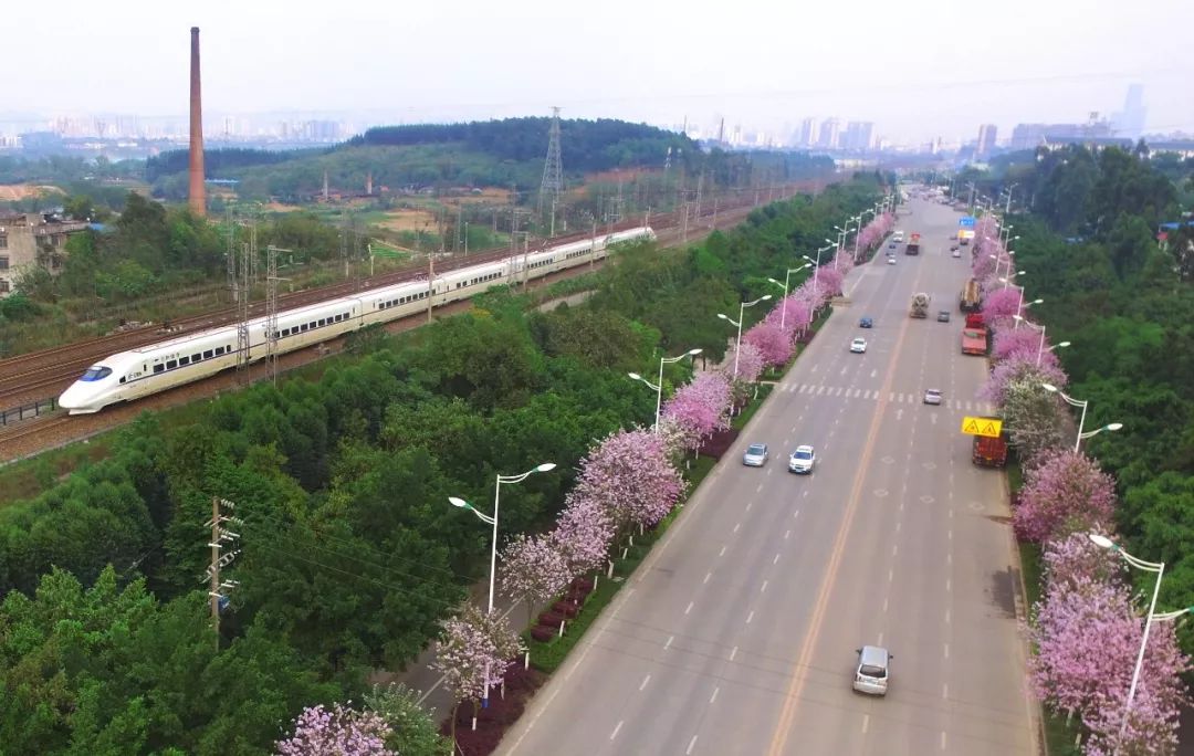 桂林平乐|高铁也能扫码乘车了！快来试试这波新操作~