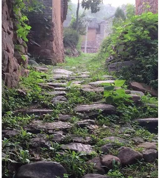 赵沟古村旅游景区有古会吗,赵沟古村景区