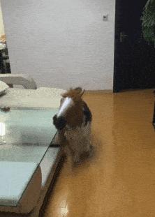 学会这招不愁找不到女朋友,学会这几招不怕找不到女朋友