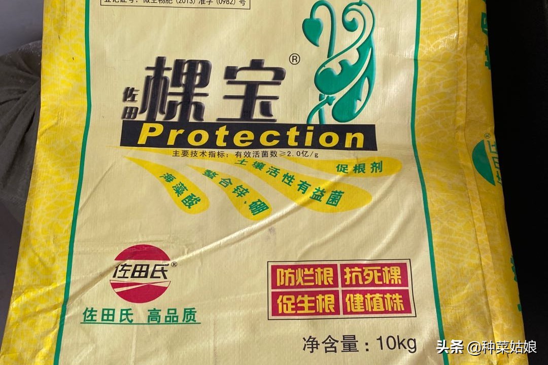 种菜怎么施肥效果最好,种菜长得慢该怎么办