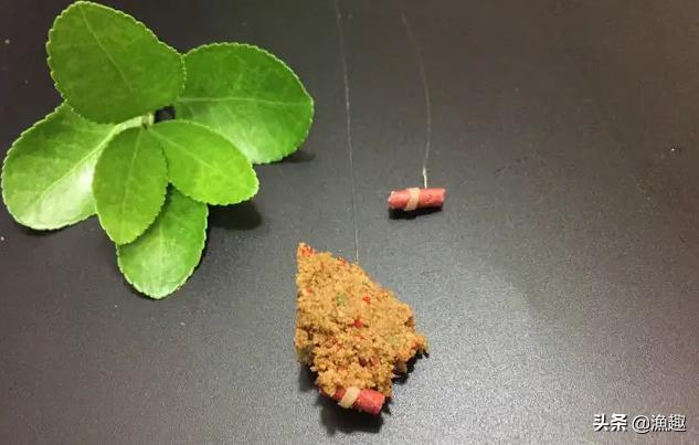 钓鲫鱼最好的饵料是红虫还是蚯蚓,红虫蚯蚓颗粒钓鲫鱼配方