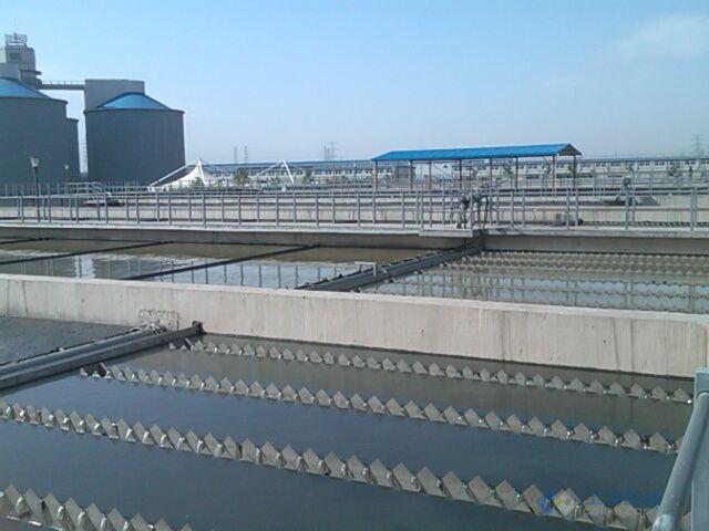 活性污泥中毒有哪些现象,活性污泥中毒后的处理对策