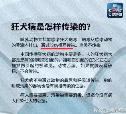 被猫抓伤咬伤要打疫苗吗,被猫狗抓伤需要打破伤风吗