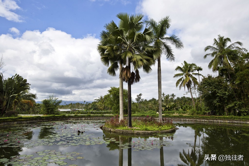 热带植物的百科全书，匪夷所思的植物王国，兴隆热带植物园
