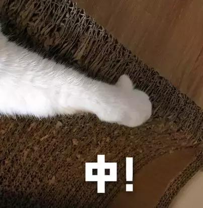 测评来了！都在力荐的「倍多分1号」亮点在哪？