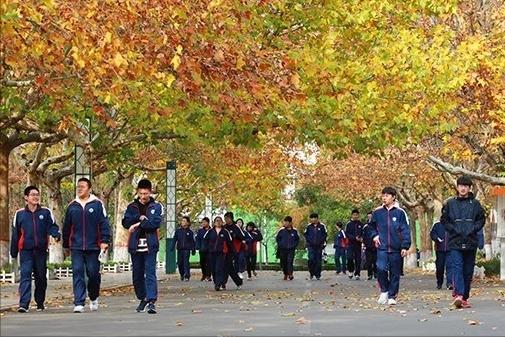 双减教育给学校带来了哪些影响,双减落地后学校该怎么做