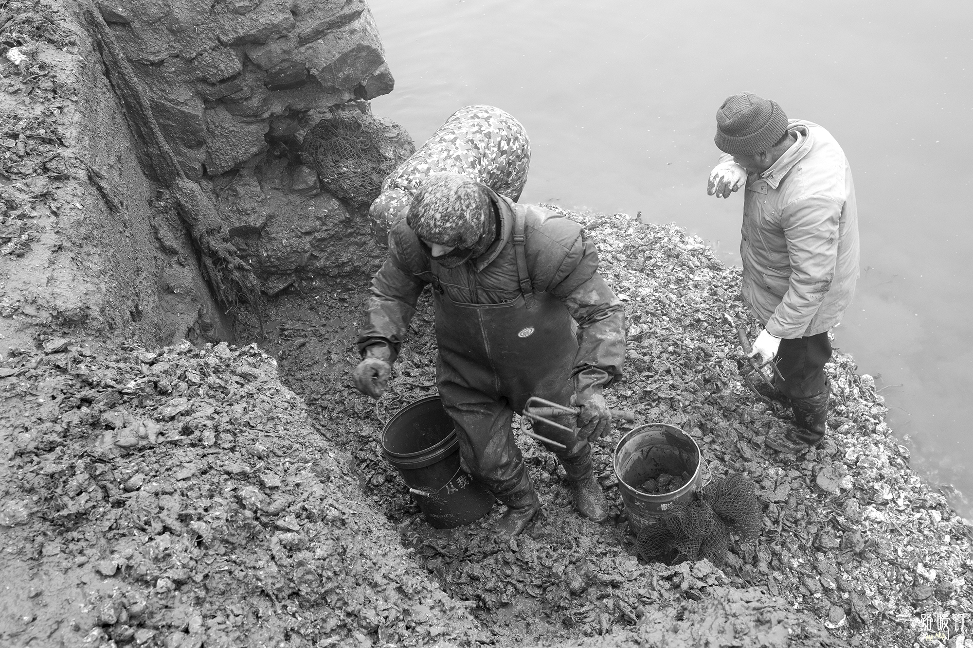 乳山为什么是长寿之乡,威海乳山市的海景房