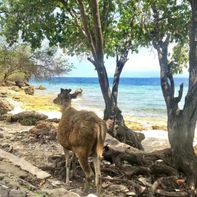 第一次邂逅就去了酒店,巴厘岛双人游定制游