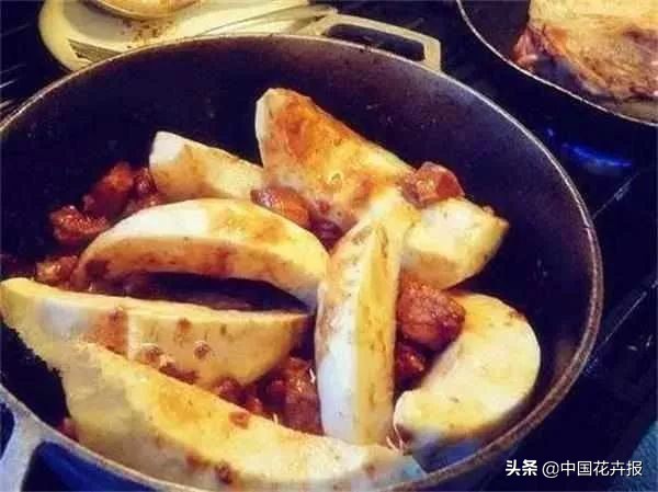 从小就觉得面包树上结的是“面包”？你只差一个亲眼看看的机会