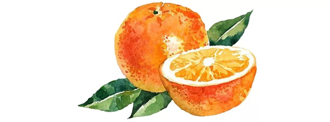 超爽福利暴击！高山神秘“金疙瘩”,甜蜜你的冬天