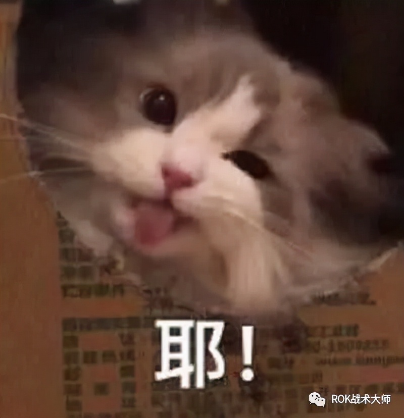 万国觉醒戒指图纸获得,万国觉醒埃及之战图纸