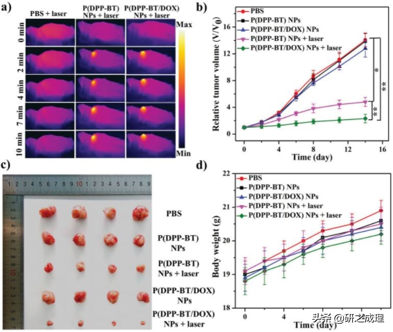 荧光探针肿瘤光动力治疗,荧光内窥镜治疗肿瘤