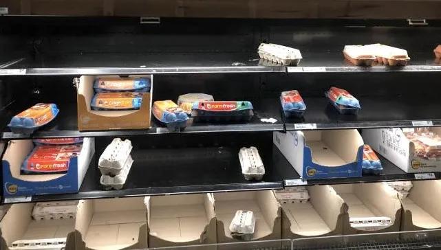 悉尼Aldi厕纸、面粉、白糖量大不限购，折扣惊人！集美冲啊