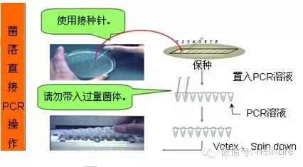 分子构建的正确流程是什么,分子构建最新技术