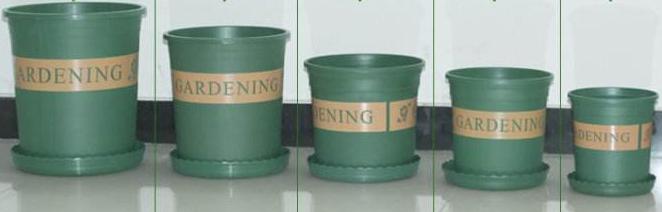 如何为你的植物选择合适的花盆,怎么选择合适的花盆口径