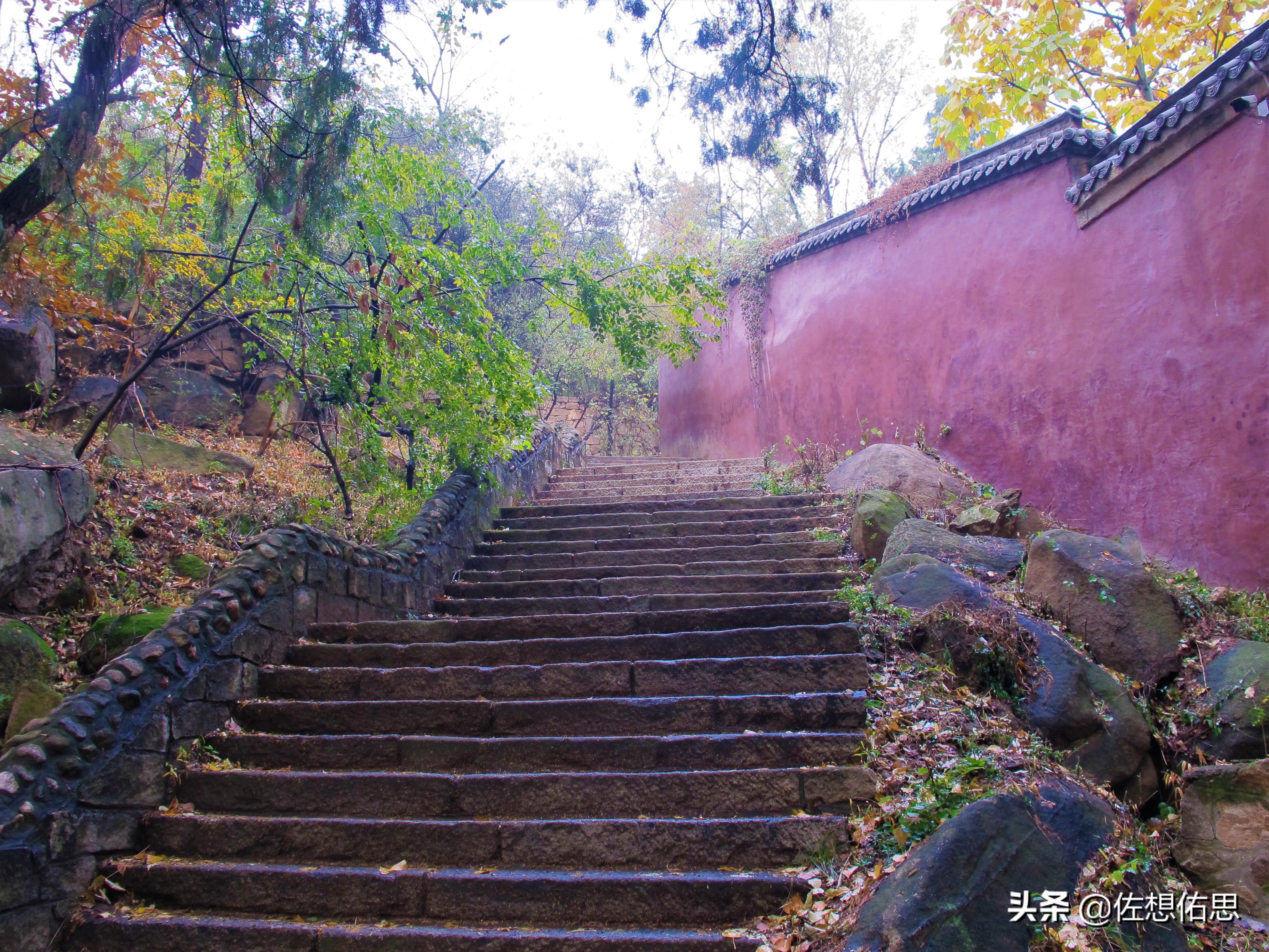 扇子崖优惠,泰安扇子崖免门票吗