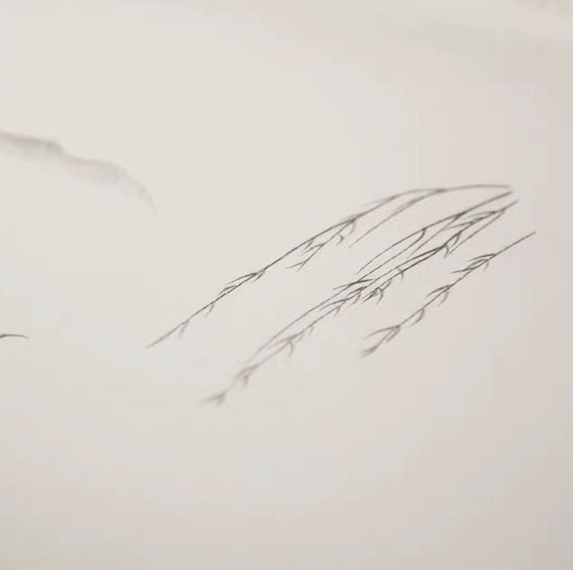 柳浪闻莺照片,柳浪闻莺曲谱