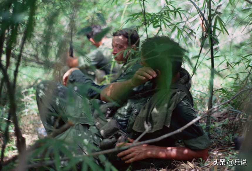 越南战场丛林战克星,越南战争丛林毒虫