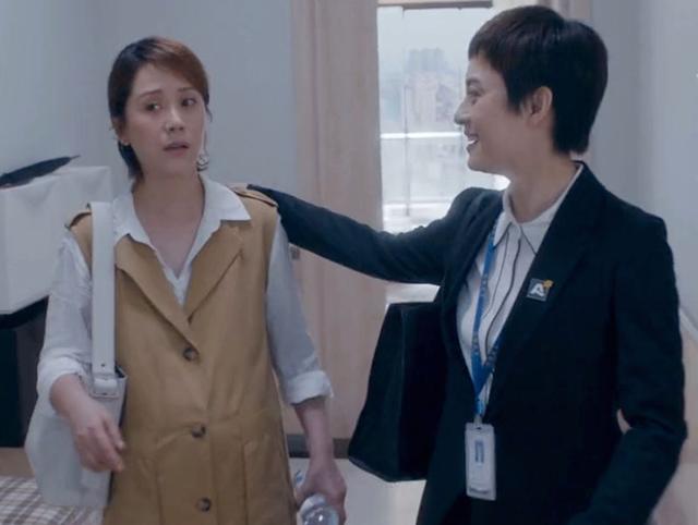 孙俪安家口碑两极分化,孙俪安家为什么火了