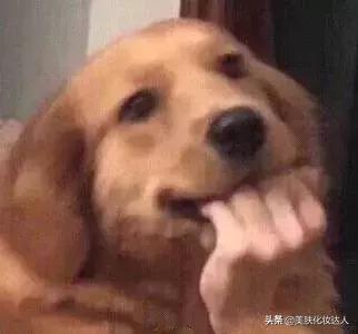 悦诗风吟的口红是正品吗,悦诗风吟为什么没实体店了