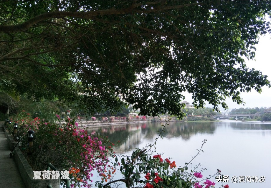 海南潜水旅游攻略一日游,海南亚龙湾游记