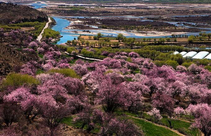2019旅行目的地盘点,2019年12月3天旅行地推荐
