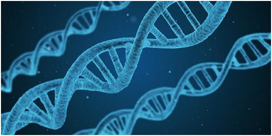 改善头发掉发最有效的方法,头发掉发最好的解决方法