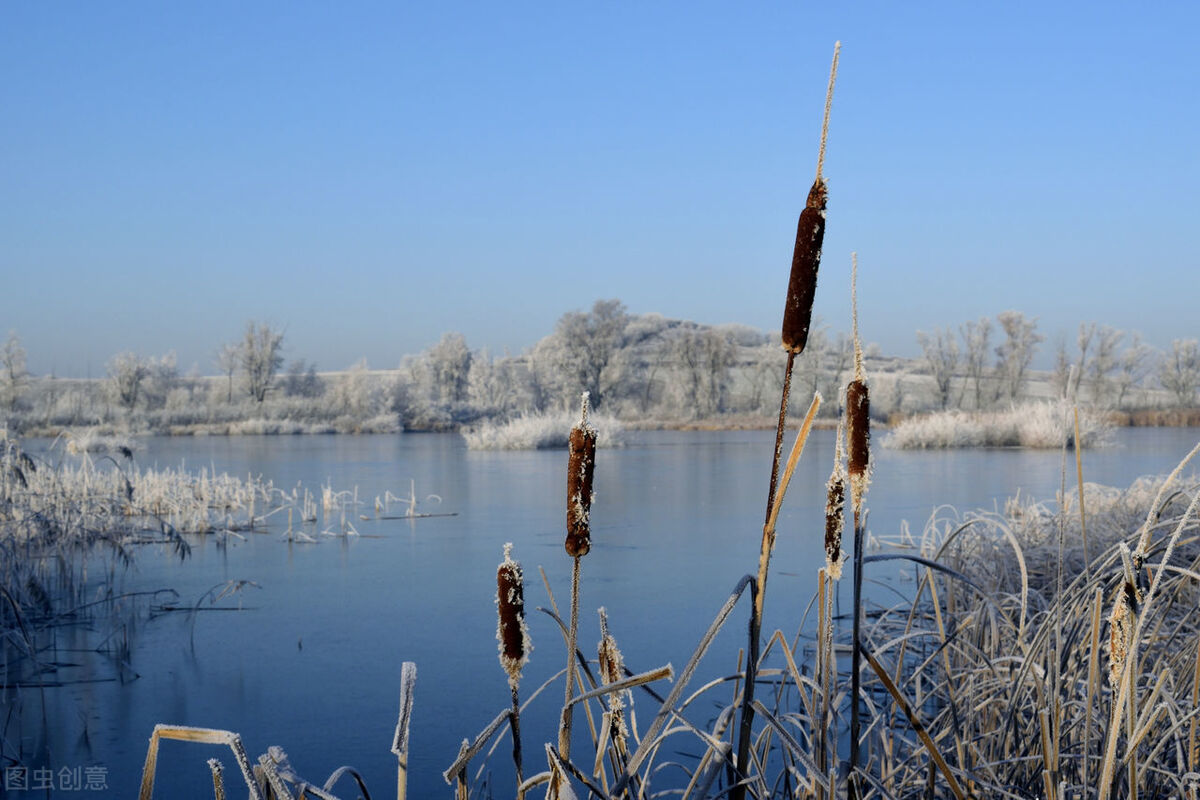 大智慧走势预测,大智慧预判