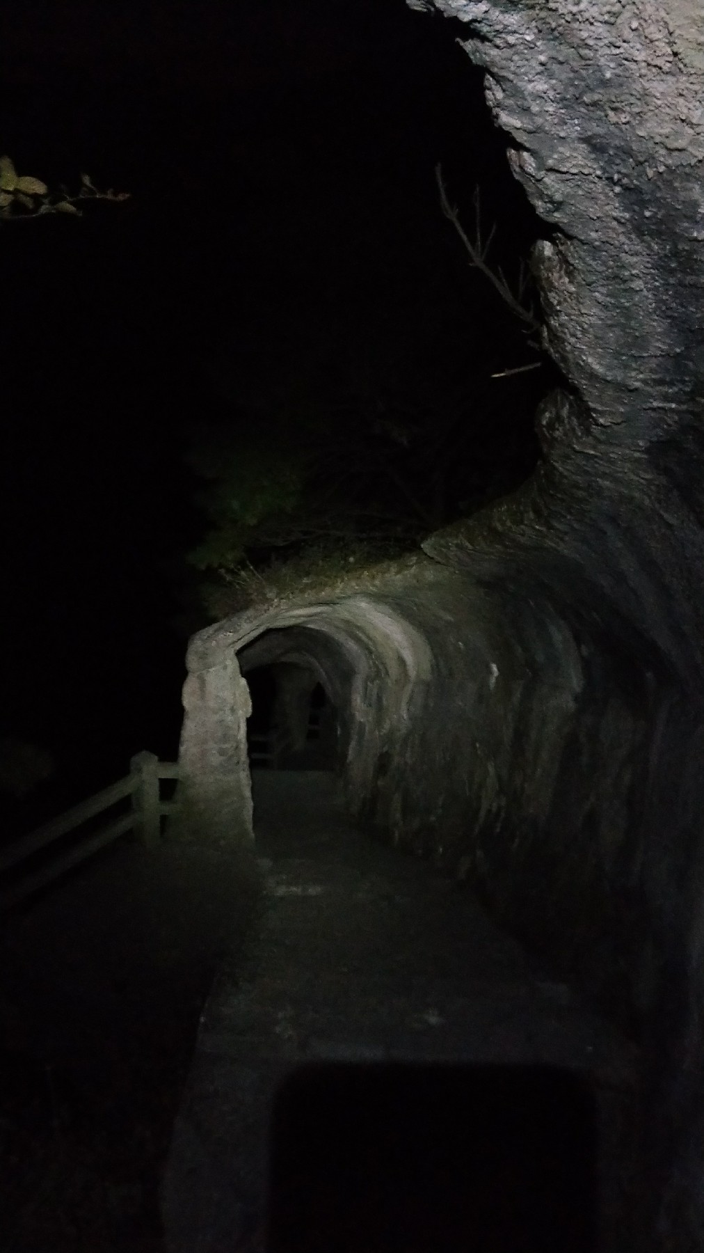 灏戝勾鏃剁殑姊︽兂榛勫北,瀛︾敓鏃朵唬姊︽兂