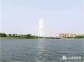 经典咏流传董卿康震,王立群经典诗词100首