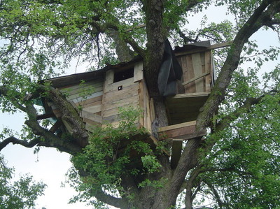 玻璃房建造的全过程,森林玻璃房建造