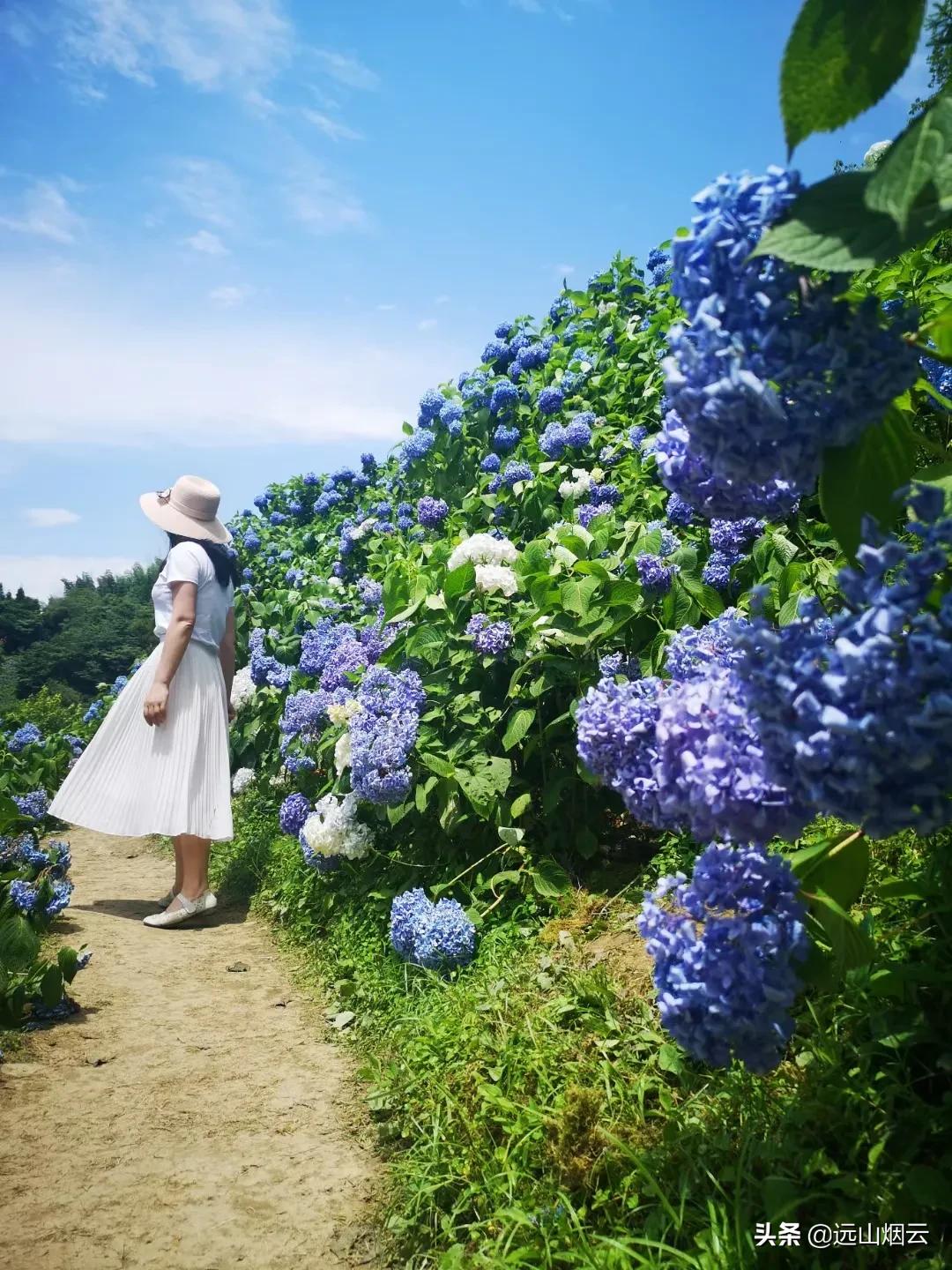 蓝牙自拍杆使用教程,教大家学习自拍杆的小妙招