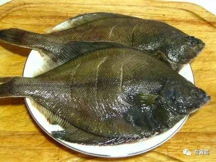 渤海湾野生海鲜图片,渤海湾海鲜为什么好