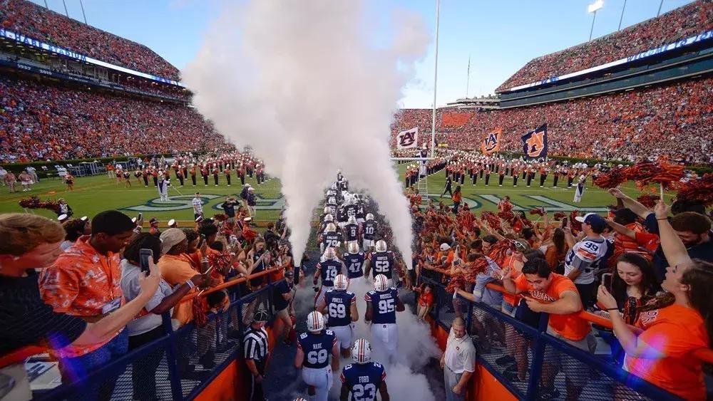 大学体育项目排行榜,大学排名体育生