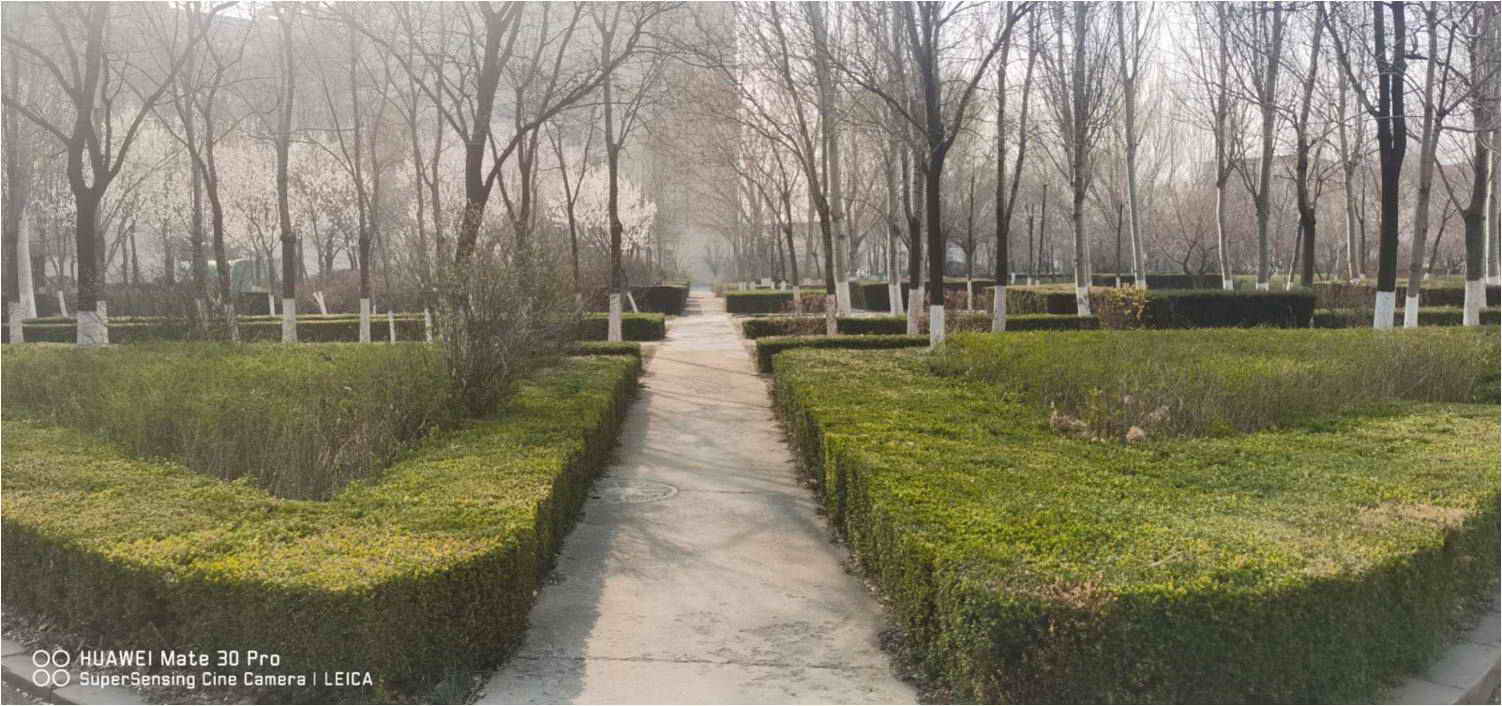 测评华为mate30pro适合给谁用,华为mate30pro全面评测