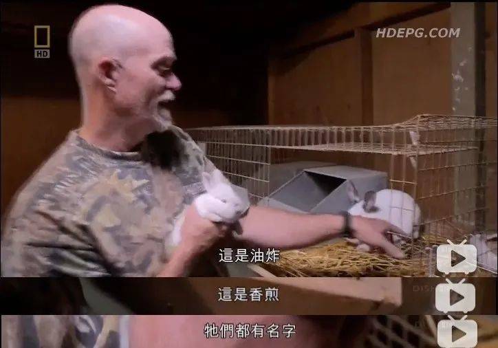 一个“末日”准备者(DP)的生存手册