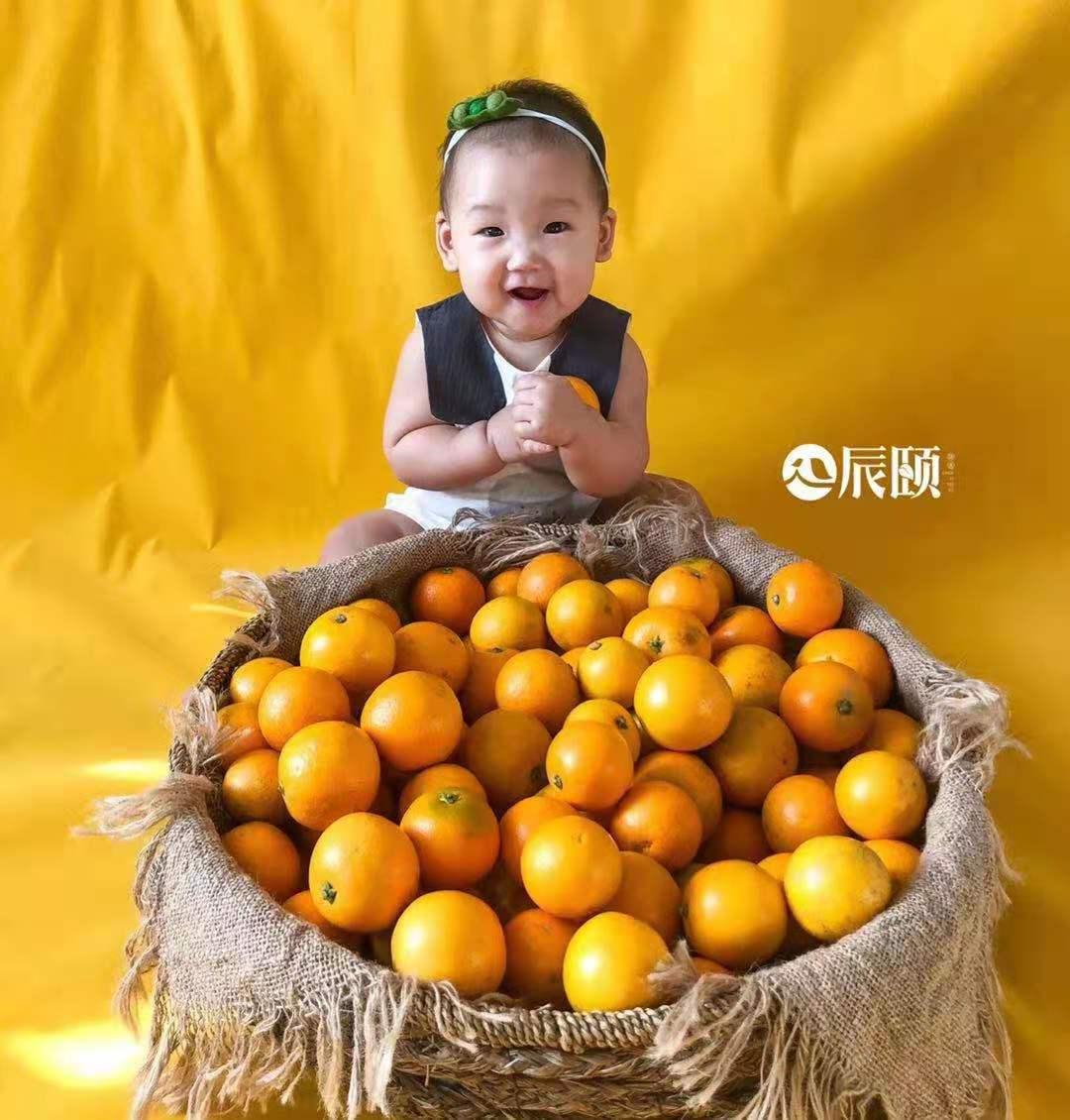 一年一爆为么什‬辰颐要把这冰颗‬糖橙出带‬大山？