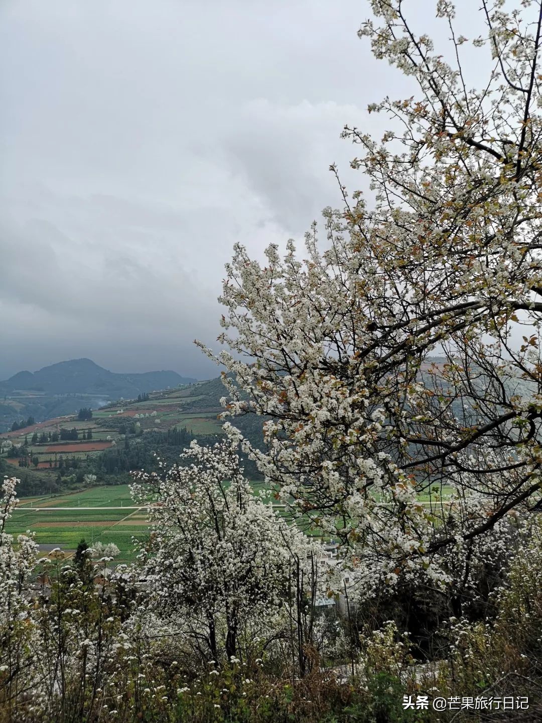 云南适合隐居的小山村,云南与世隔绝的花海