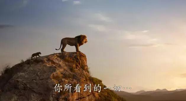 观看狮子王简单的观后感,狮子王经典版的观后感