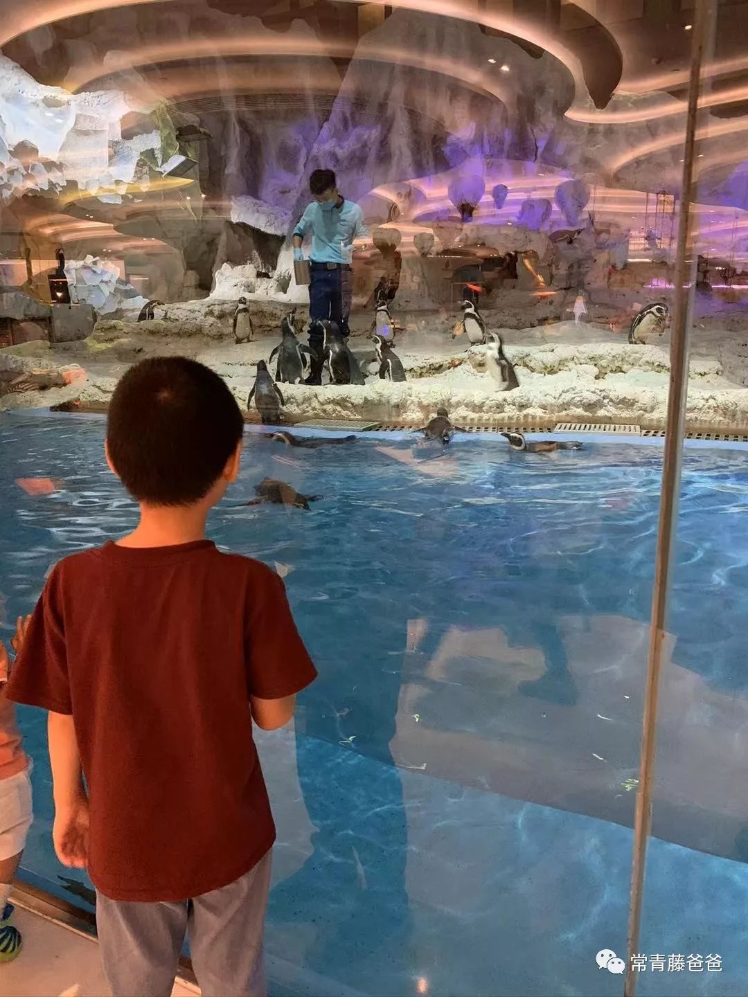 过年去珠海长隆海洋王国游玩攻略,广州长隆欢乐世界带娃一日游攻略