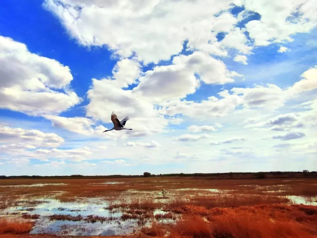 全国首批拟旅游乡村吉林8个乡村,吉林省乡村入围旅游重点村