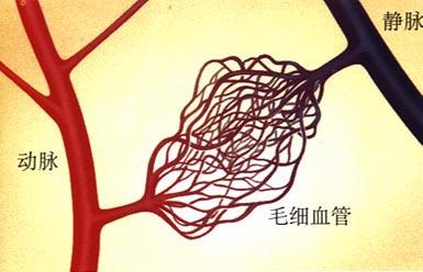 玉泽能修复角质层吗,角质层修复最快方法