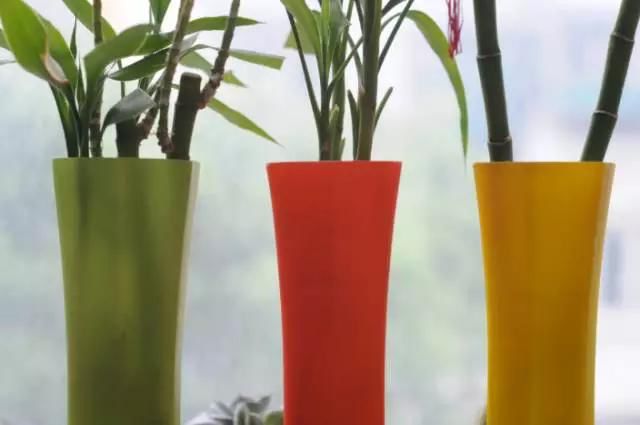 镜头进灰清理一次多少钱,适马镜头进灰了怎么清理