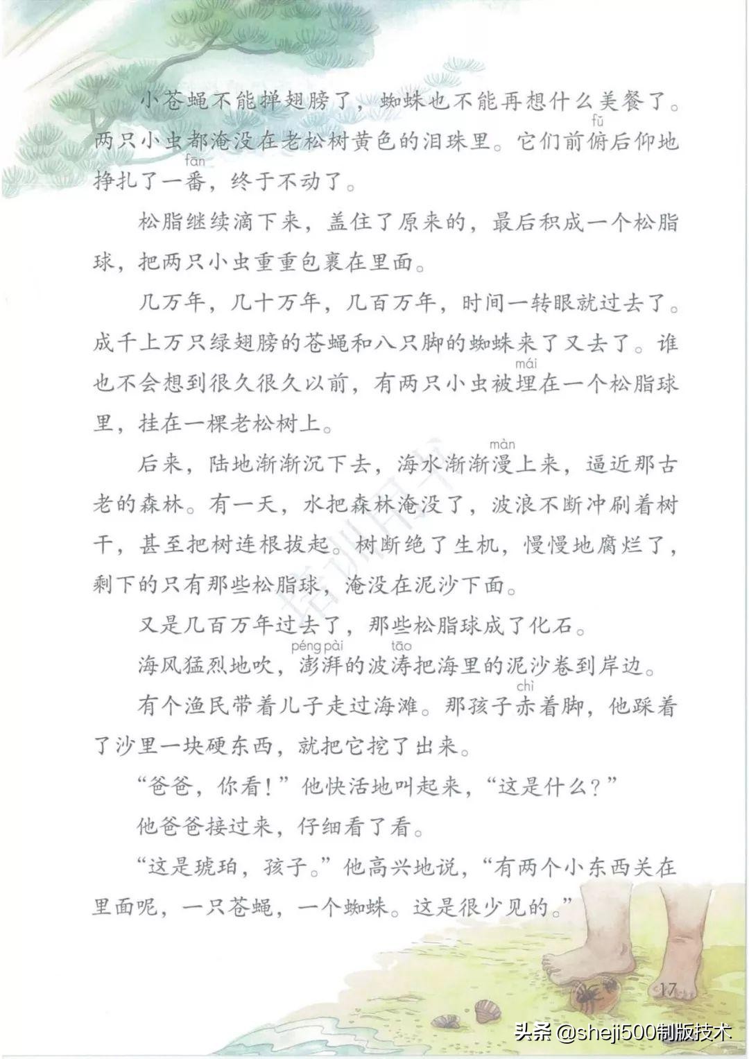 四年级语文下册第5课琥珀知识点,语文书四年级下册琥珀预习分段