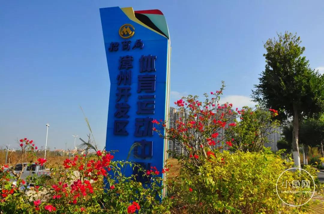 鬼城or未来可期？我们走进漳州港，发现“接盘侠”的各种悲喜交加