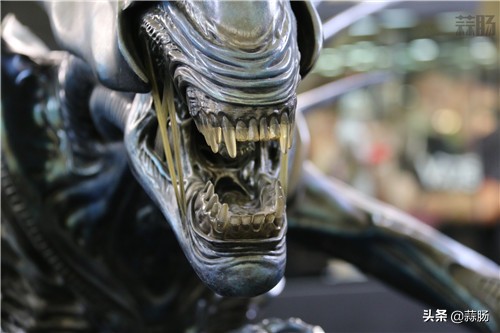 wf手办展飞天,wf上海展热门手办