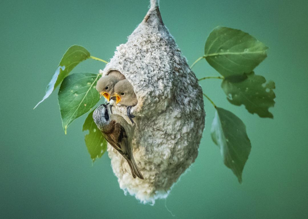 香港第14届全国摄影艺术展,第29届全国摄影艺术展览获奖名单